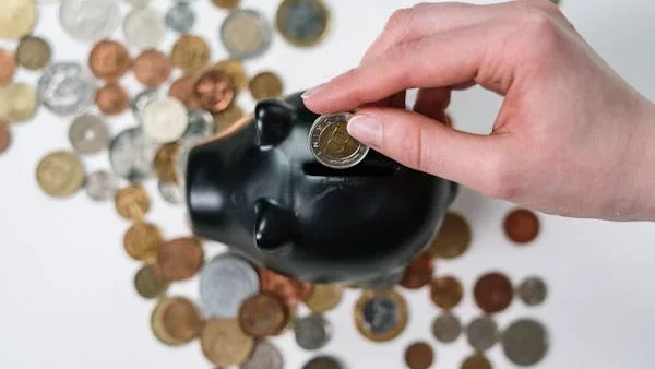 Vanguard Mystique: Exploring the Hype, Pros, and Cons of Vanguard Mutual Funds