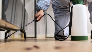 Exterminator Services: A Comprehensive Guide